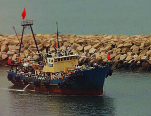 Fishy Waters: Experts Eye Chinese Maritime Violations